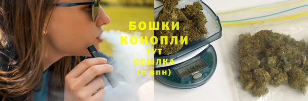 дурь Арсеньев