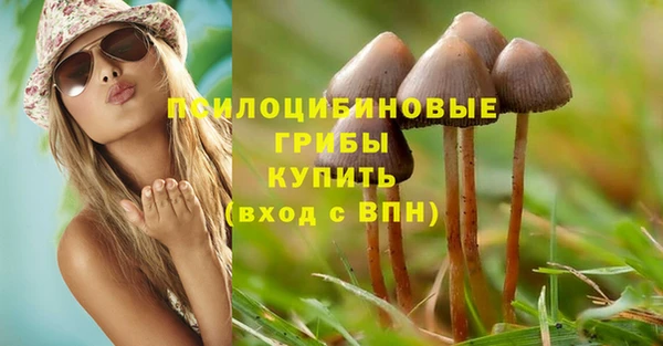 дурь Арсеньев