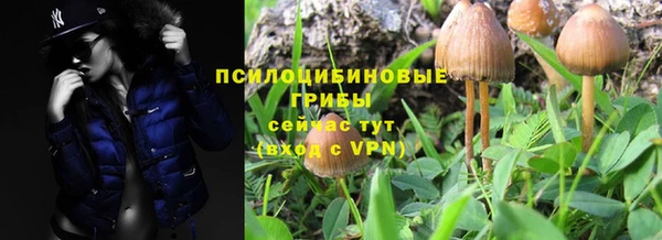 ешки Армянск