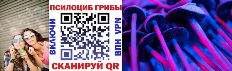 закладки  Кондрово  Псилоцибиновые грибы MAGIC MUSHROOMS 